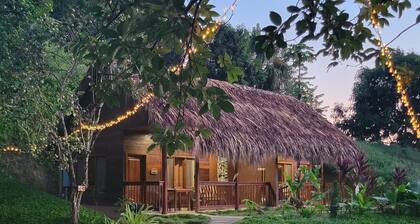 Mtn View Queen 4guest ac breakfast wifi pool