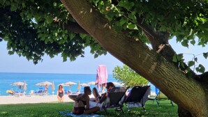 A beach scene with a tree providing shade, a grassy area, and beach chairs and umbrellas in the background.