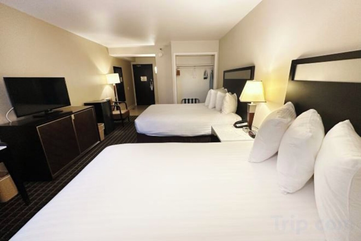 Queen Room With Two Queen Beds-Non-Smoking