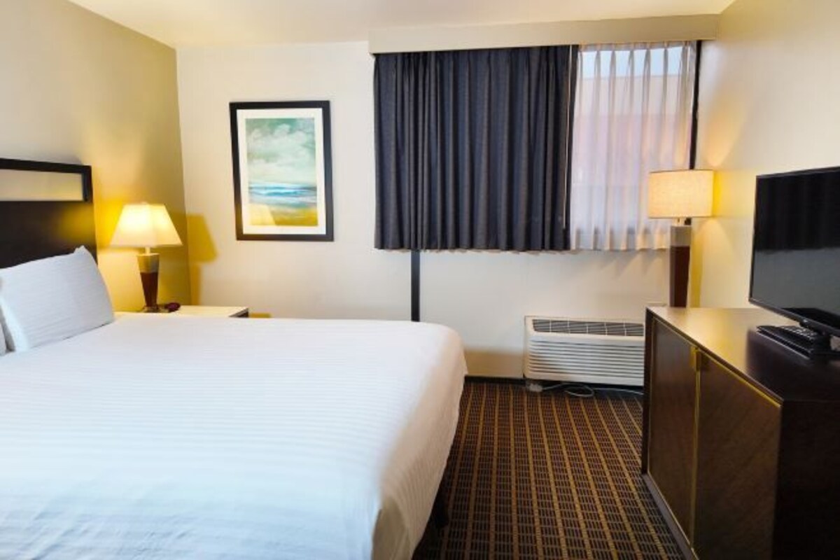 A hotel room with a bed, two bedside lamps, a television, a heater, a picture on the wall, and a window with curtains.