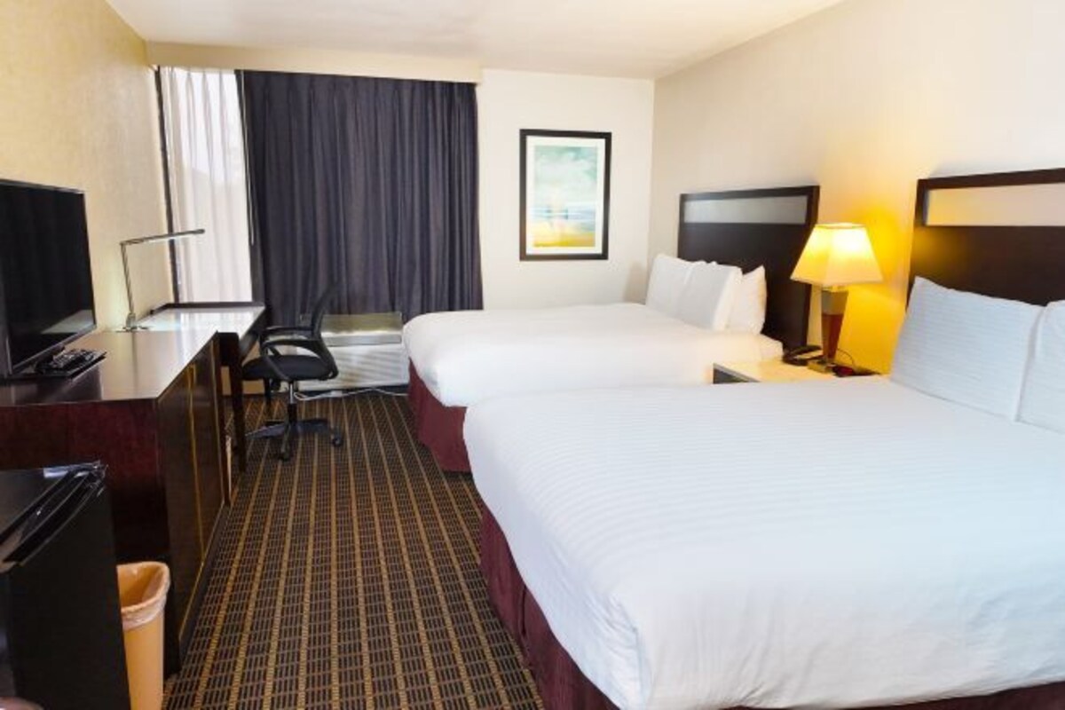 A hotel room with a bed, desk, chair, TV, and a window with curtains.
