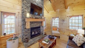 Televisión, chimenea, reproductor de DVD y libros