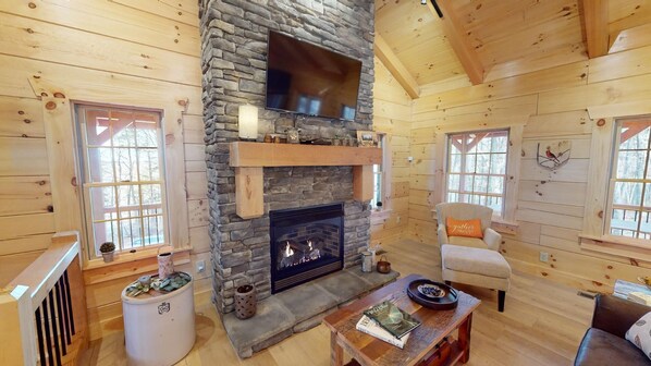 Télévision, cheminée, lecteur de DVD, livres