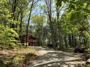 A forested area with a wooden cabin and a gravel path.