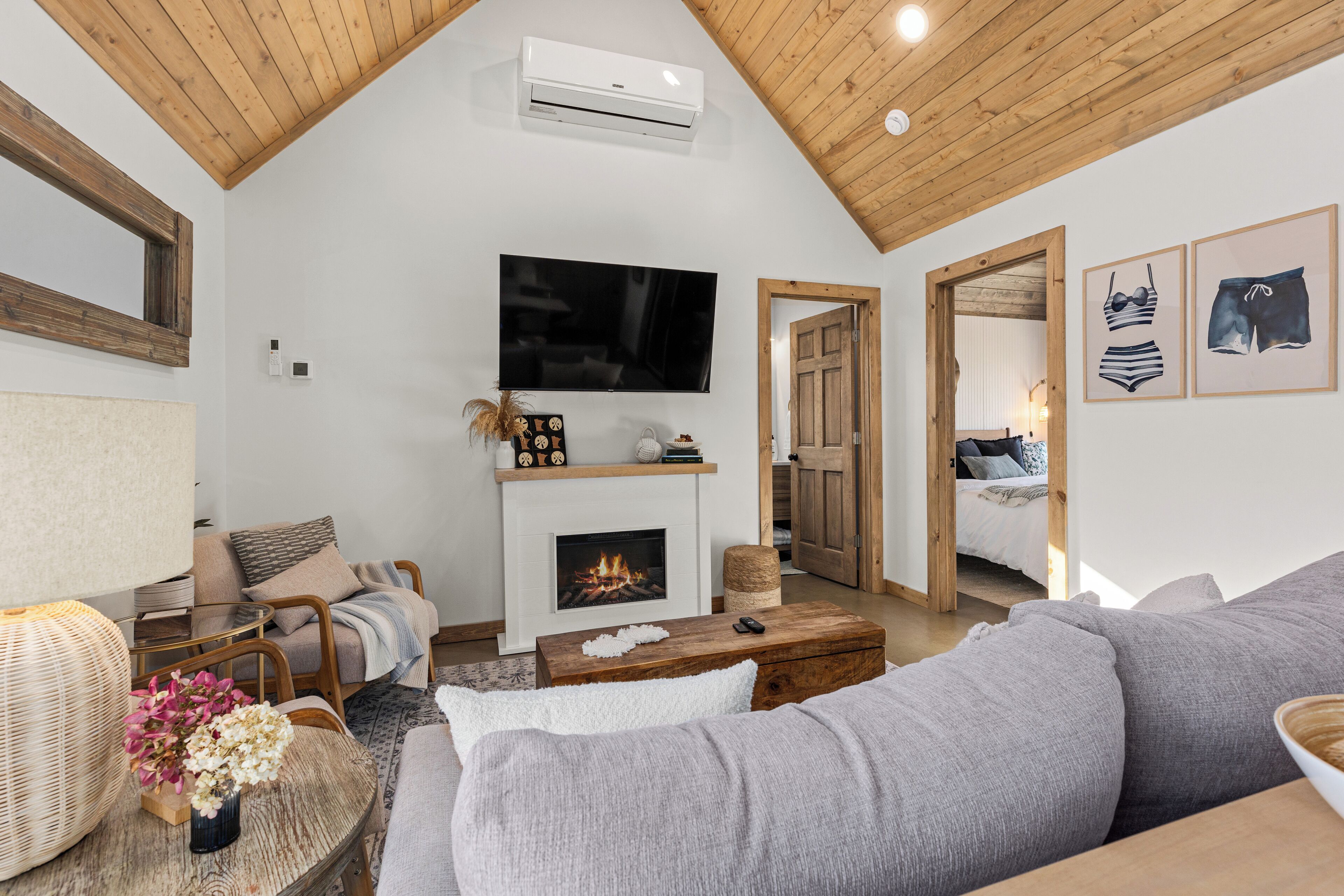 Smart TV, fireplace, books