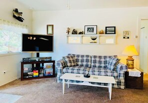 Smart-TV, DVD-Player