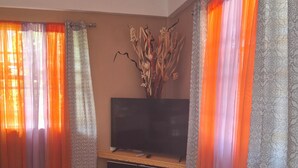 A living room with a TV on a wooden stand, a patterned rug, and a vase with dried branches.