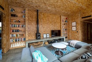 電視、壁爐、書籍