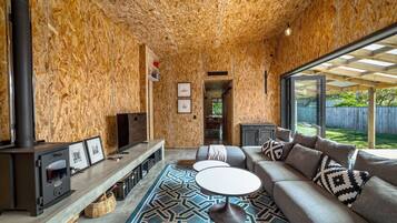 Televisión, chimenea y libros