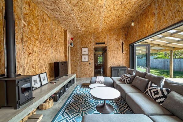 TV, fireplace, books