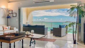 Smart TV, DVD player, books, video library