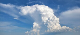 Family friendly in Hampton with huge yard, dog park, and 2 blocks from the bay