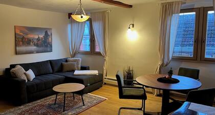 SchmuckstĂŒck Maikammer - extraordinary apartments in the heart of Maikammer Whg. 6