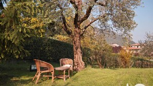 A grassy outdoor area with two wicker chairs and a large tree. - Appartamento Il Moresine (Roe Volciano)