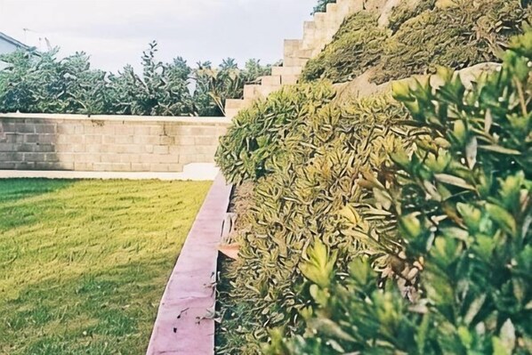 Property grounds - Rock Bear House (Jeju)