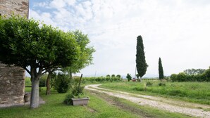 Paisaje rural con un camino de tierra, un muro de piedra y altos cipreses.