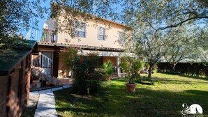 A two-story house with a stone staircase leading to the entrance, surrounded by a well-maintained garden with various plants and a large tree. - Casa Celestina in Padenghe sul Garda (Padenghe sul Garda)