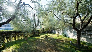 A garden with trees, a pathway, and a building in the background. - Casa Celestina in Padenghe sul Garda (Padenghe sul Garda)