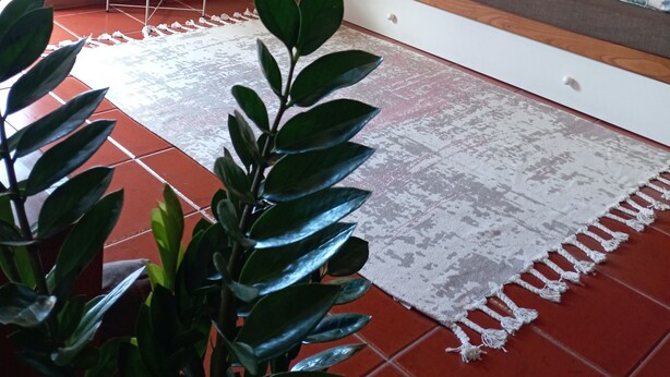 Ein Wohnzimmer mit einer Couch, einem kleinen Beistelltisch mit Pflanze, einem gemusterten Teppich und einem roten Fliesenboden.