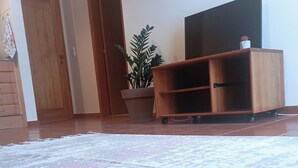 Ein Zimmer mit Holzboden, einer Spitzenmatte, einem Holzschrank, einer Topfpflanze und einem Fernseher auf einem Sockel.