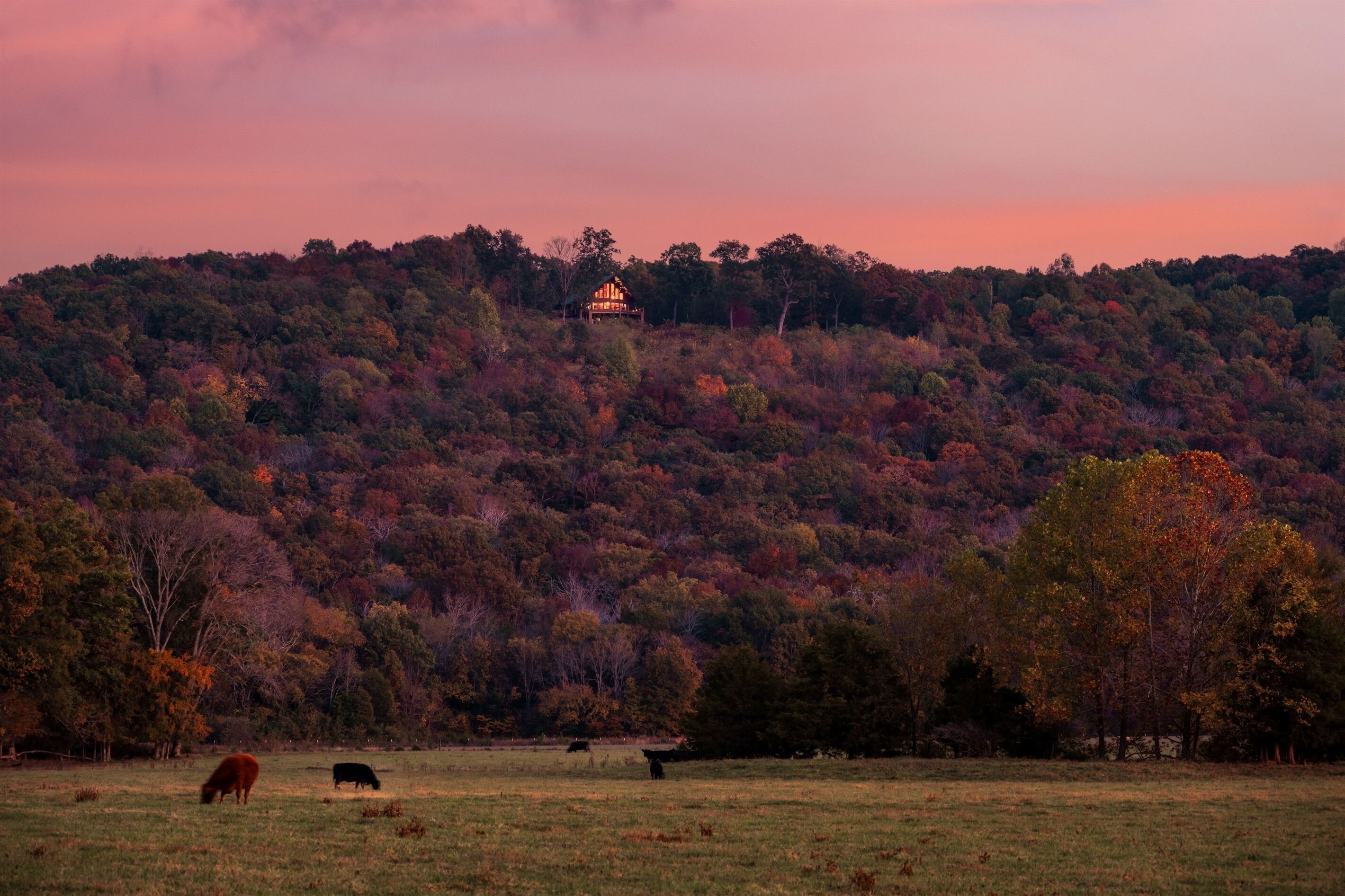 A rural landscape with a hill covered in trees and a small building on top.
