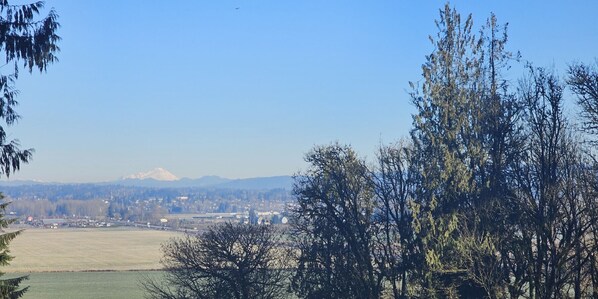 Miscellaneous - Peaceful place with 360 views of the town (Snohomish)