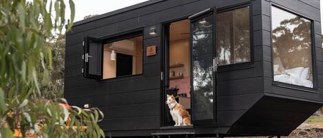 A modern, black cabin with a large sliding door, a small porch, and a dog sitting outside.