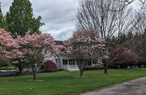 Quiet Apt near Lexington and Buena Vista