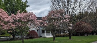 Quiet Apt near Lexington and Buena Vista