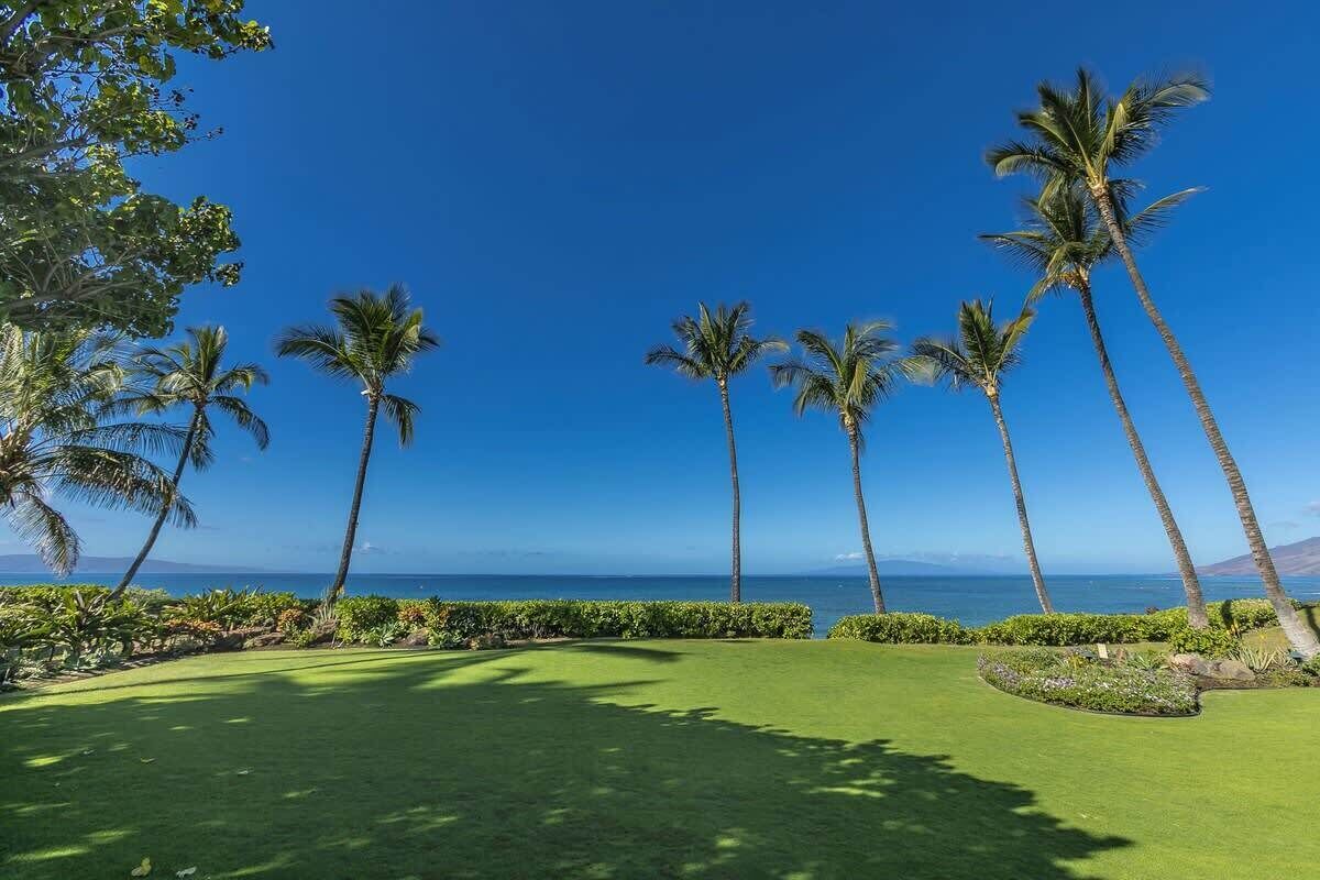 Un parcours de golf offrant une vue dégagée sur l’océan et les palmiers.
