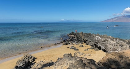 Rare Find! Ocean and Beach Front Cottage!