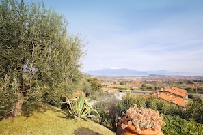 Un jardin en pente, avec une grande variété de plantes, et d’où l’on peut admirer une ville et des montagnes au loin.
