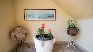 1 habitación 