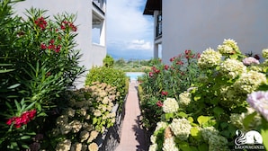 A pathway flanked by lush greenery and flowering plants leading to a pool area, with a clear sky above. - Appartamento Katy in Polpenazze del Garda (Polpenazze del Garda)