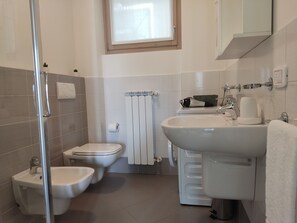 Shower, hair dryer, towels - BLONDIE HOUSE (Fonteno)