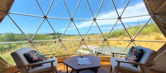 Waipū Thunder Domes no.2 luxury eco glamping dome