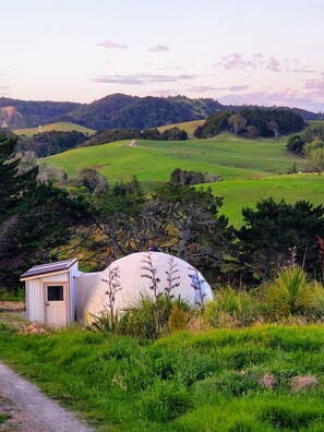 Exterior - Waipū Thunder Domes no.2 luxury eco glamping dome (Waipu)