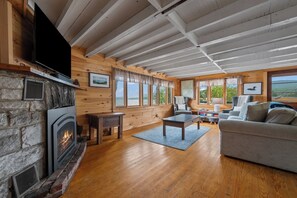 Smart TV, fireplace, books, stereo