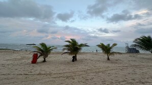 Ein Strand mit Palmen und einem Rettungsturm.