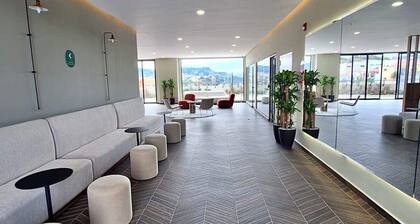 Mono environment in Distrito Artemisa