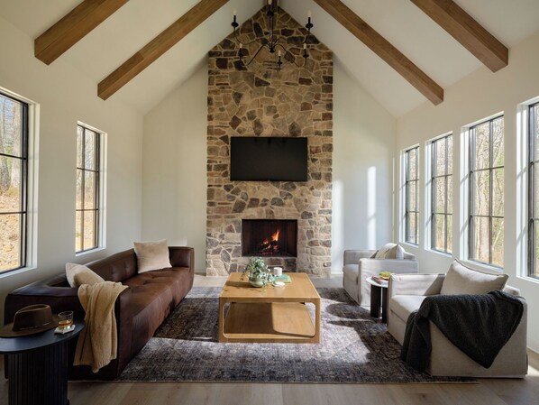 Smart TV, fireplace, books