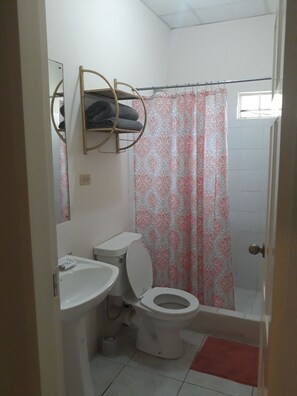 Sèche-cheveux, serviettes fournies, papier toilette