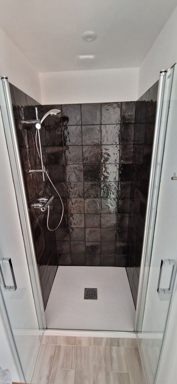 A modern shower enclosure with a glass door, a showerhead, and a handheld shower attachment.
