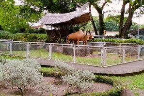 Utsikt fra overnattingsstedet