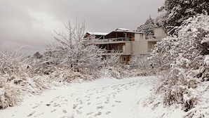 Un sendero cubierto de nieve que conduce a un edificio de varios pisos con balcones, rodeado de arbustos y árboles cargados de nieve.