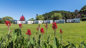 A row of white mobile homes on a grassy field with red flowers in the foreground.