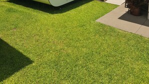 A modern, white, single-story house with a large sliding glass door, a small porch, and a well-maintained lawn. - QUIET COMFY PRIVATE TINY HOME (Caboolture)