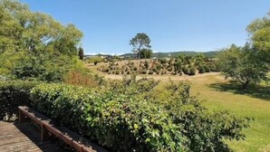 A landscaped garden with a wooden deck, dense shrubbery, and a distant view of a hill. - Peaceful on Par Kinloch (Kinloch)