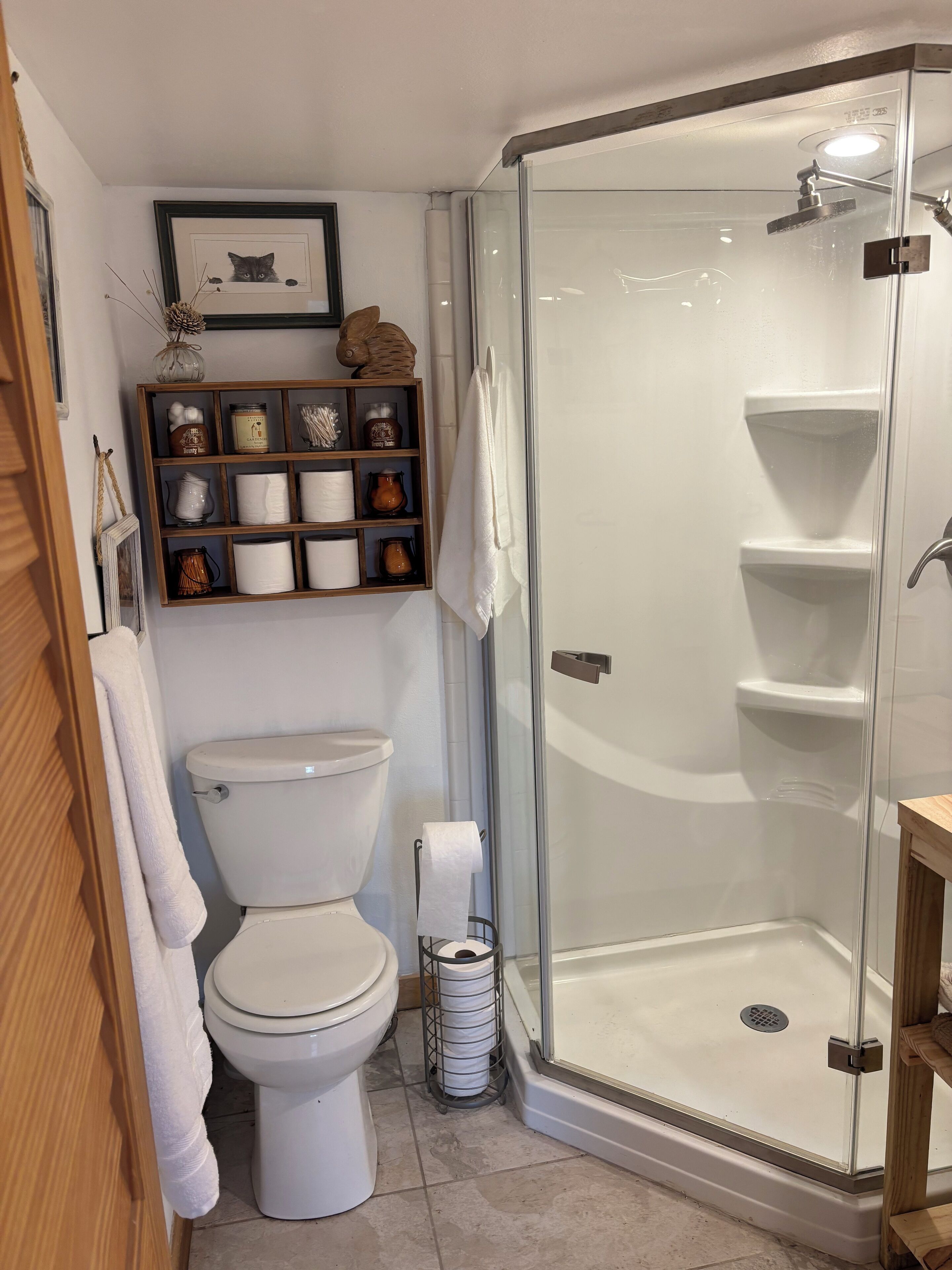 Een badkamer met een toilet, een douchecabine met glazen wanden en een plank met toiletartikelen.