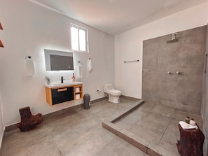 Shower, towels, soap, toilet paper